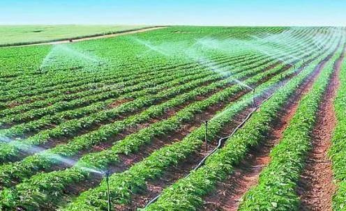 大屌操逼的视频网站农田高 效节水灌溉